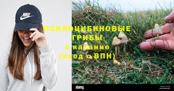 спайс Горнозаводск