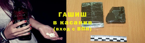 PSILOCYBIN Горняк