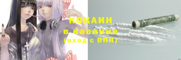 mdpv Вяземский