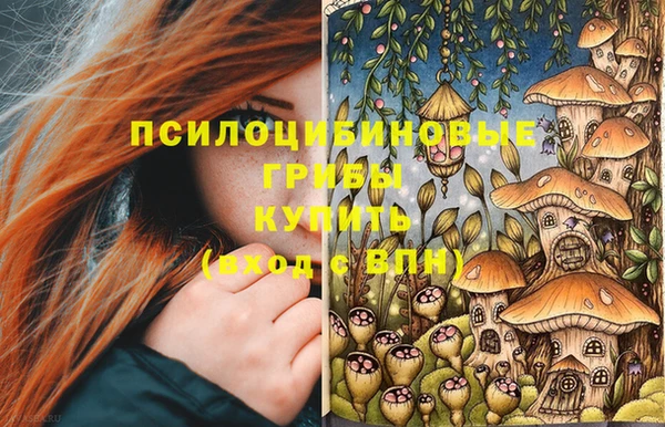 кокаин Гусь-Хрустальный