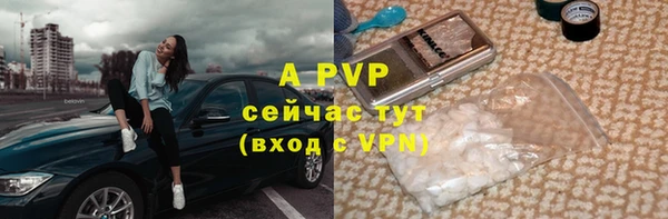 эйфоретик Вязьма