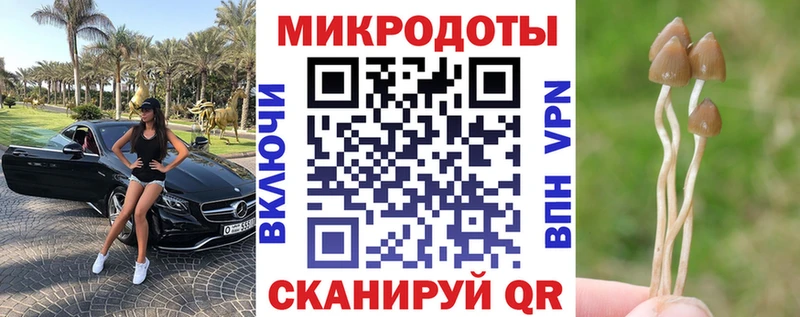 как найти закладки  Жердевка  Псилоцибиновые грибы Psilocybine cubensis 